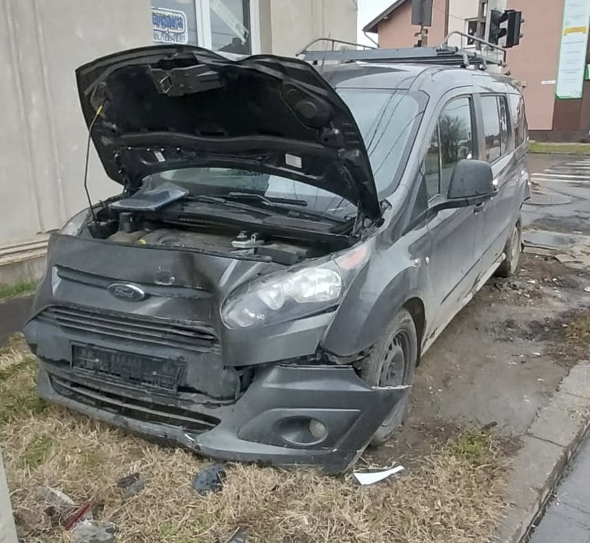 MSD DAUNE AUTO