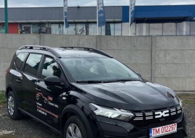 msd-daune-auto-masini-la-schimb