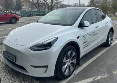 msd-daune-auto-tesla